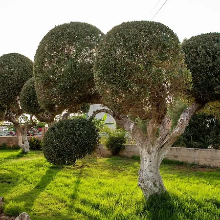Lagouvardos Διαμέρισμα Μαραθόπολη