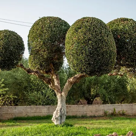 Διαμέρισμα Lagouvardos *