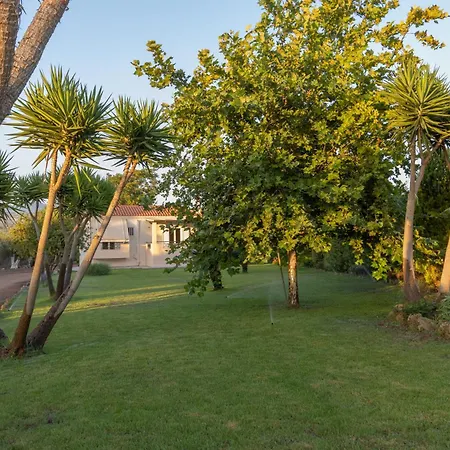 Lagouvardos Marathopoli