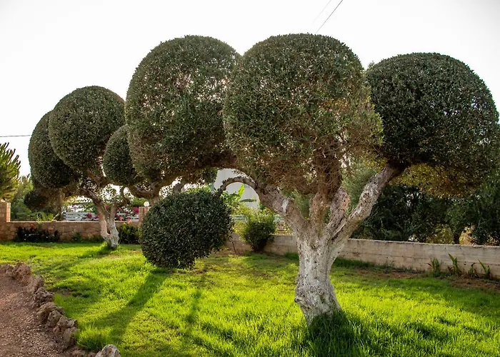 Lagouvardos Apartamento Marathopoli