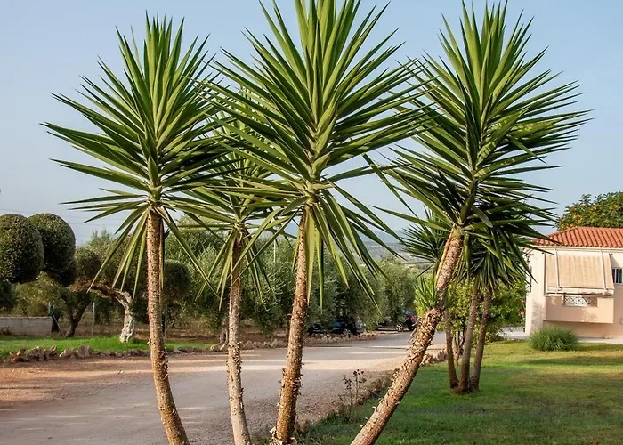 Lagouvardos Apartment Marathopoli