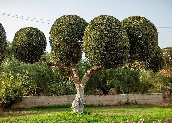 Apartment Lagouvardos *