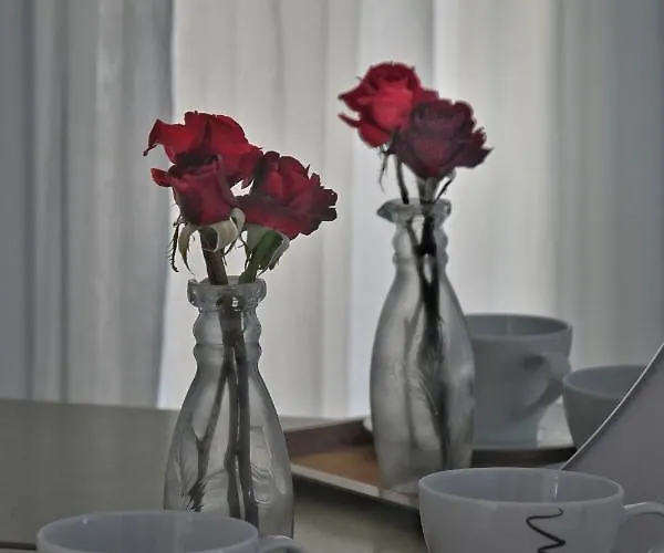 Lagouvardos 马拉松波利斯