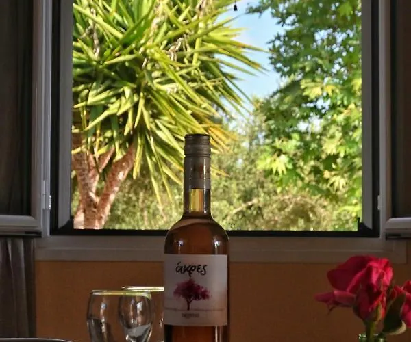 Apartment Lagouvardos *