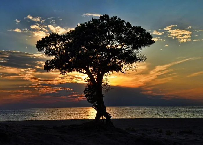 Apartamento Lagouvardos *